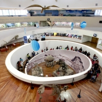 Visita virtual