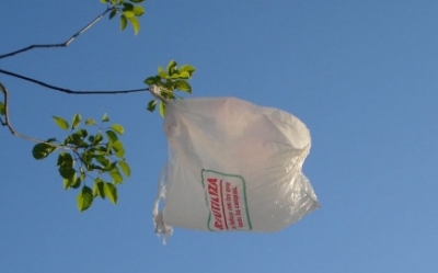 Problemática de las Bolsas Plásticas