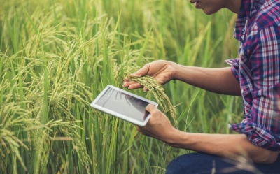 Inteligencia Artificial aplicada al agro